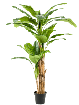 Planta artificiala de interior Banana 210 cm