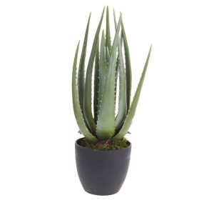 Aloe Vera Planta Artificiala in ghiveci 45cm